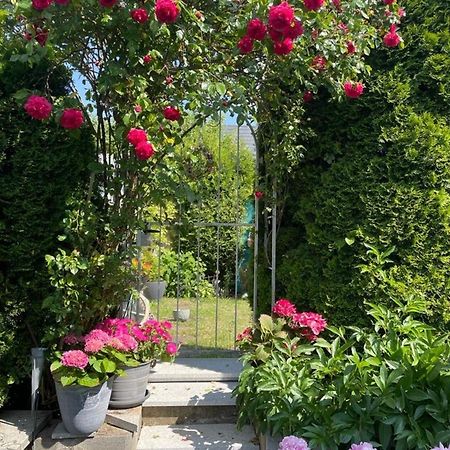 Zum Sternberg Lägenhet Münsingen Exteriör bild