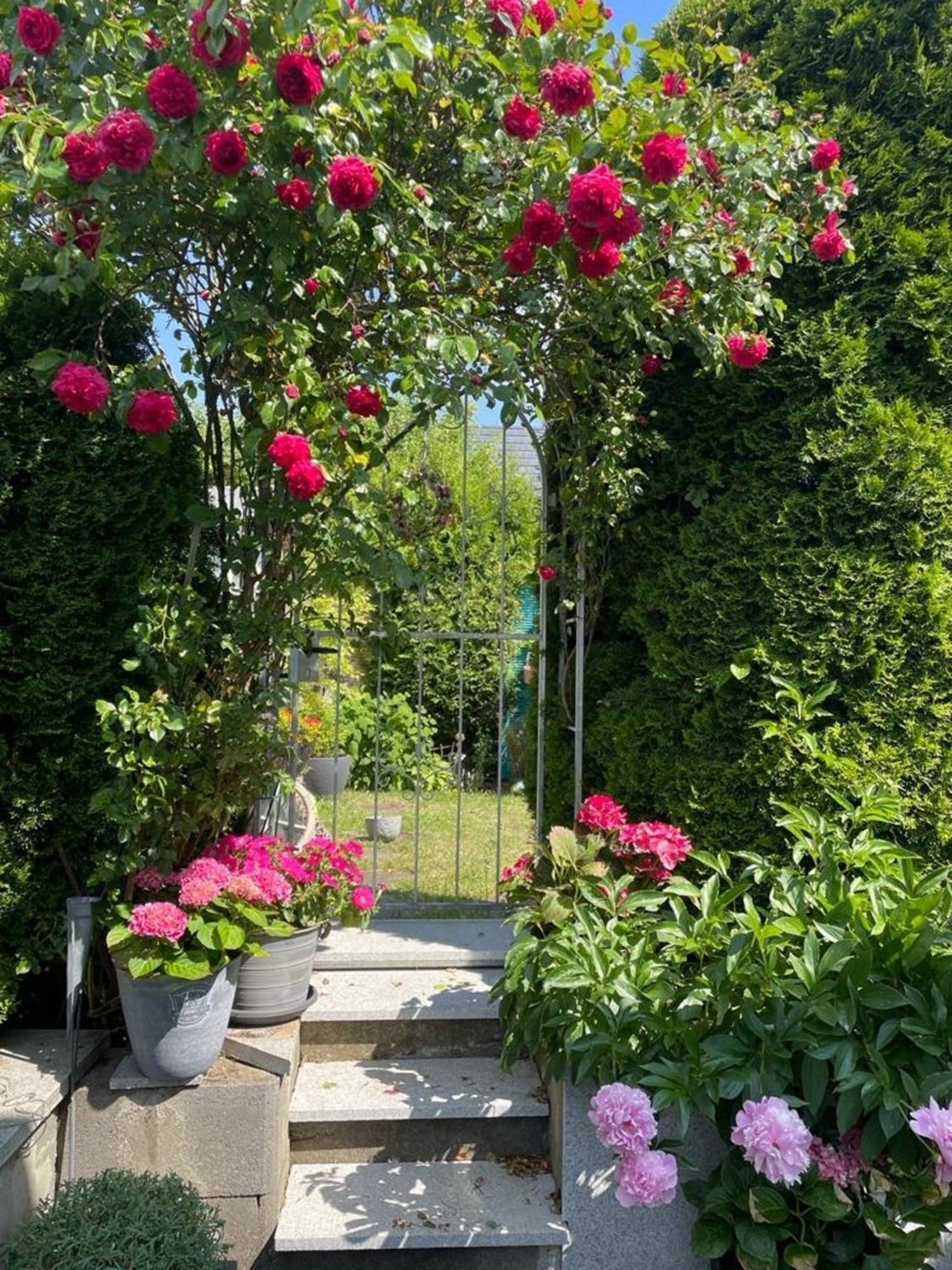 Zum Sternberg Lägenhet Münsingen Exteriör bild